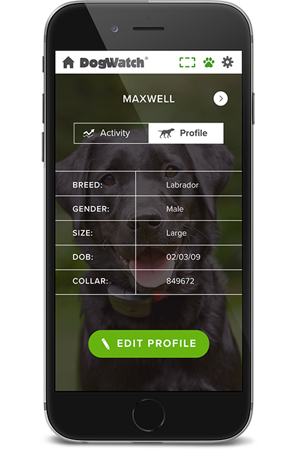 DogWatch of Green Country, Tulsa, Oklahoma | SmartFence WebApp Image